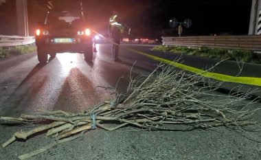 Me një tufë dru në shpinë tentoi të kalonte në autostradë, vdes tragjikisht 65-vjeçari në Fier