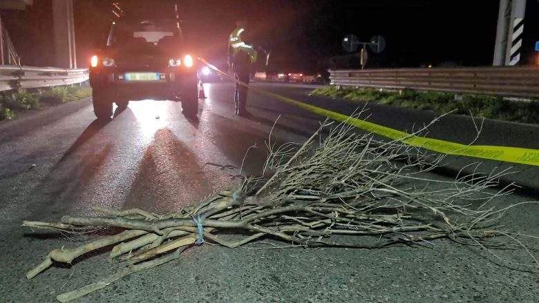 Me një tufë dru në shpinë tentoi të kalonte në autostradë, vdes tragjikisht 65-vjeçari në Fier