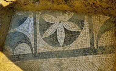 Merret në mbrojtje zona ku u gjet mozaiku i rrallë në Durrës