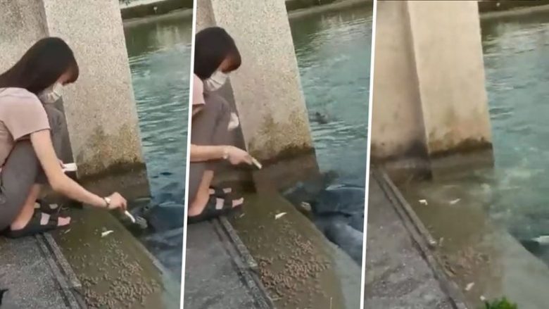 Vajza po ushqente breshkat dhe më pas ndodhi kaosi: Bisha misterioze hapi nofullat dhe u hodh nga uji