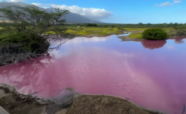 Një thatësirë ekstreme ka bërë që një liqen në Hawaii të marrë papritur një ngjyrë rozë të ndezur