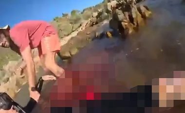 E sulmoi peshkaqeni, notuesi italian filmon momentin kur uji mbushet me gjak derisa e nxirrnin nga plazhi në Australi