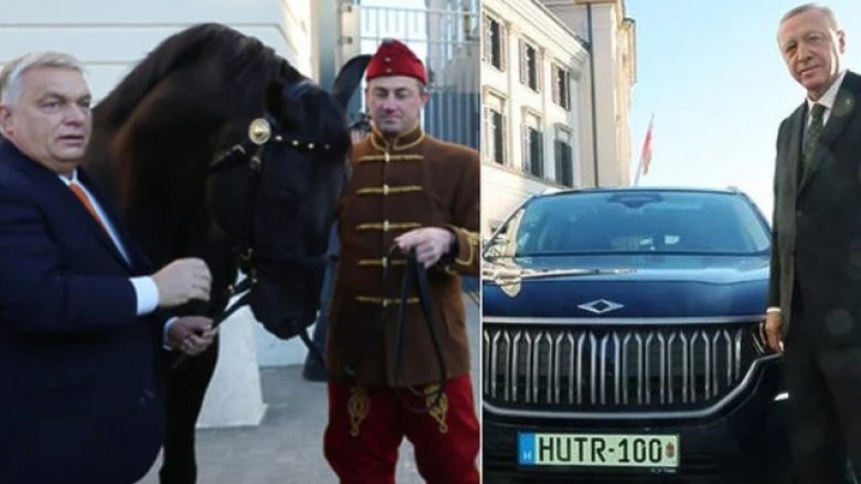 Orban dhe Erdogan shkëmbejnë dhurata në Budapest, lideri turk ia prezanton veturën Togg – e ai hungarez ia jep një kalë