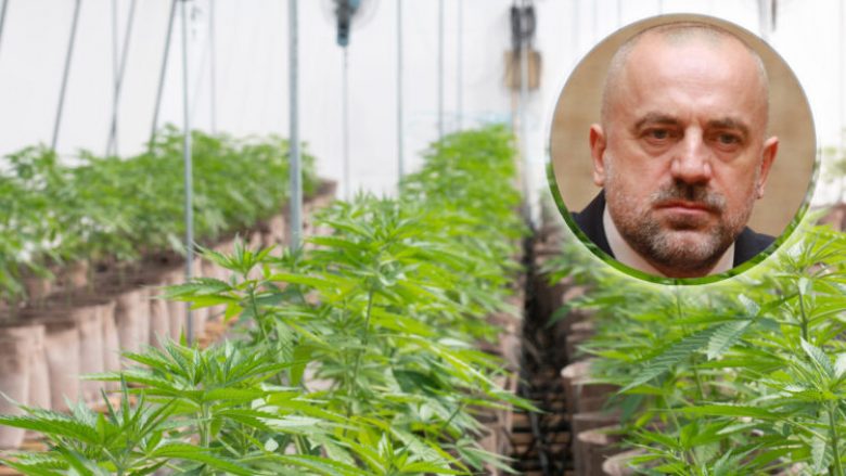 A është ky fundi i laboratorëve të marihuanës në Kosovë, me të cilët është i lidhur Milan Radoiçiq: Një tjetër “biznes” mund të pësojë goditje