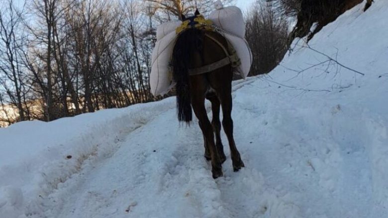 Rruga me borë, fermeri në Debëlldeh bartë ushqimin për kafshë me kalë