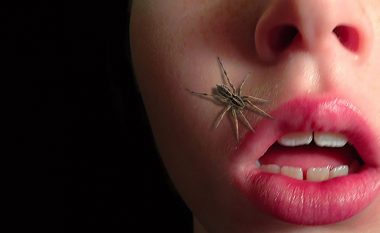 A është e vërtetë që gëlltisim merimanga në gjumë?