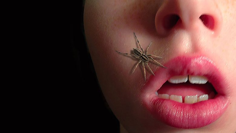 A është e vërtetë që gëlltisim merimanga në gjumë?