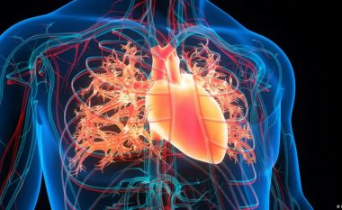 Inteligjenca artificiale mund të parashikojë dhjetë vjet përpara infarktet e zemrës