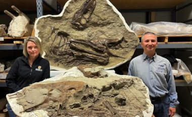 Shkencëtarët zbuluan se ushqimi i fundit i një tiranozauri ishin dy foshnja dinosaurësh