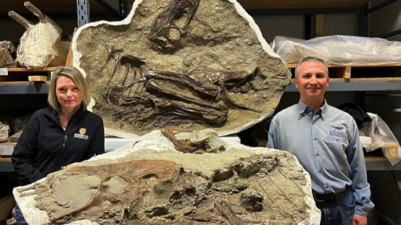 Shkencëtarët zbuluan se ushqimi i fundit i një tiranozauri ishin dy foshnja dinosaurësh