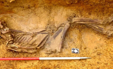 Ekspertët e ADN-së kanë zgjidhur misterin e kufomës 2000 vjeçare