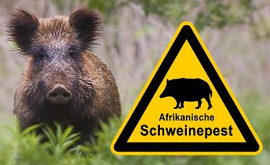 Murtaja afrikane e derrave, Austria ndalon transportimin e mishit të derrit ose produkteve të tij nga vendet jo anëtare të BE-së, përfshirë Kosovën