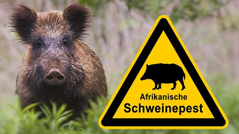 Murtaja afrikane e derrave, Austria ndalon transportimin e mishit të derrit ose produkteve të tij nga vendet jo anëtare të BE-së, përfshirë Kosovën