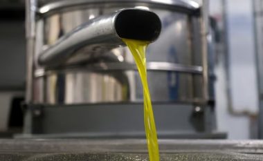 Policia në Spanjë dhe Itali kanë sekuestruar më shumë se 5,000 litra vaj ulliri të falsifikuar
