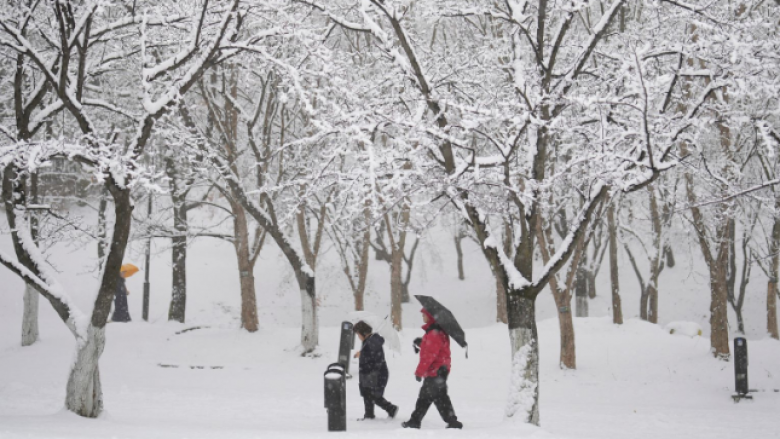 Reshjet më të mëdha të dëborës për më shumë se 40 vjet në Seul të Koresë Jugore