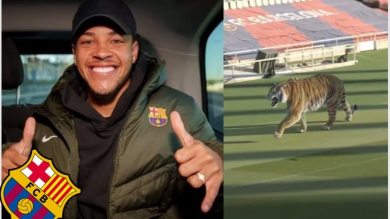 Një tigër në fushën e stadiumit të Barcelonës – si e paralajmëruan ardhjen e ‘Tigrinho’ gjiganti katalanas