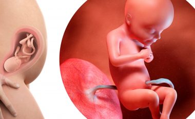 Java e 29-të e shtatzënisë: Bebja është gjithnjë e më aktive, por trupi juaj po bën një gjë të mrekullueshme
