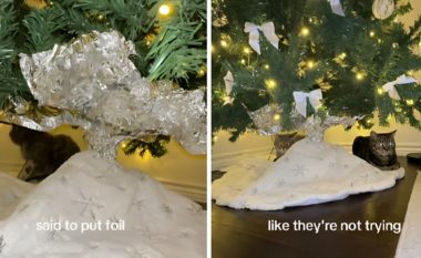 Përdoruesja në TikTok ndau një truk interesant, për t’i mbajtur macet larg nga pema e Krishtlindjeve