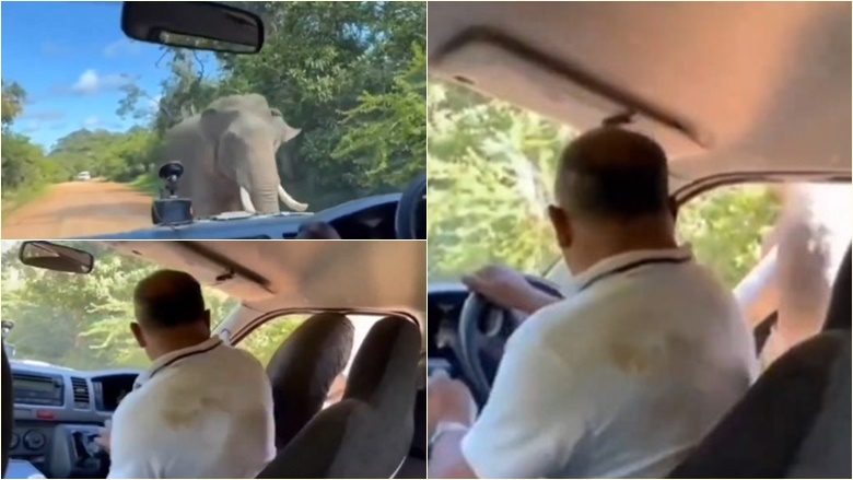 Elefanti thyen dritaren e makinës në kërkim të ushqimit – turistët rrëfejnë momentin drithërues që përjetuan në Sri Lanka