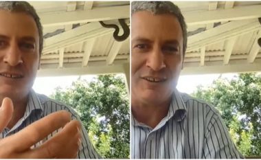 Podkasti australian ndërpritet nga një gjarpër i madh