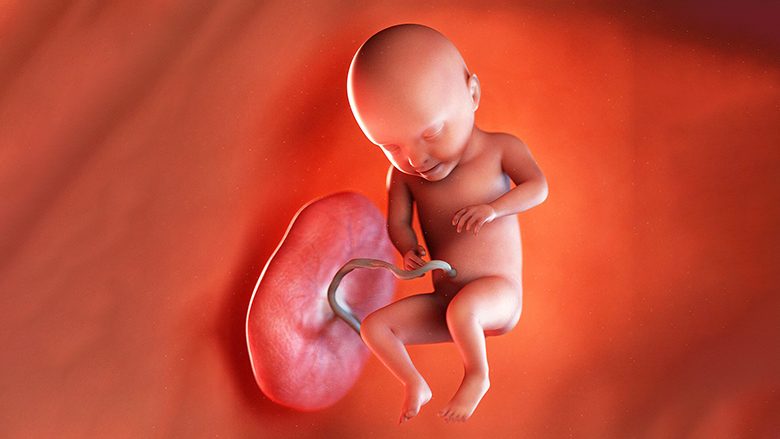 Java e 31-të e shtatzënisë: Bebja po bëhet më topolake dhe trupi juaj është në përgatitje të plotë për periudhën që pason