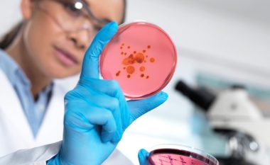 Shkencëtarët kanë zbuluar një antibiotik të ri i cili synon të vrasë superbakterin vdekjeprurës