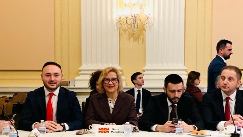 Grkovska: Partneriteti me SHBA-në është kyç në trajtimin e ndikimeve ruso-kineze në Ballkan