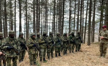 Stërvitja e përbashkët e ushtrisë së Kosovës dhe asaj të Shqipërisë, Maqedonci: Krenar me ushtarakët tanë