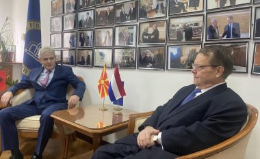 Ambasadori holandez në takim me Ahmetin: I papranueshëm ndikimi politik ndaj kryetares së Gjykatës së Lartë