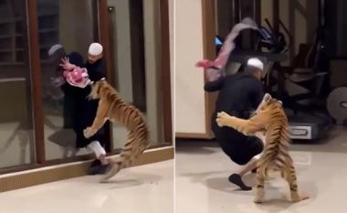 Videoja që shfaq tigrin si kafshë shtëpiake teksa ndjek një burrë në shtëpi nxit reagime në internet
