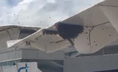 Një tufë bletësh “pushtuan” krahët e një aeroplani në Brazil – pasagjerët nuk u lejuan të dilnin jashtë për një orë