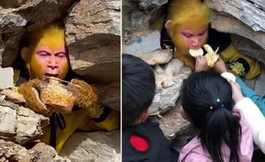 Kina po kërkon punëtorë që vishen si majmunë dhe argëtojnë turistët