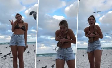 Një vajzë pozon në plazh, por një pulëbardhë vjedh shfaqjen: Për pak sa nuk i ia hoqi rrobat e banjës