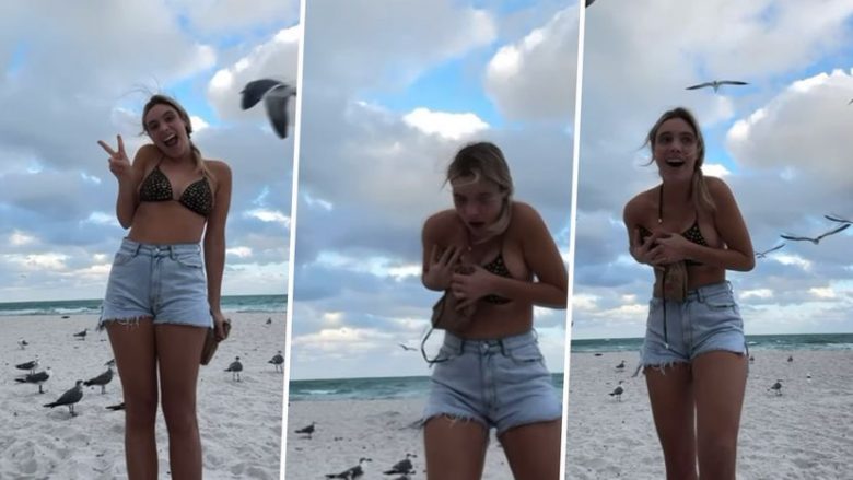 Një vajzë pozon në plazh, por një pulëbardhë vjedh shfaqjen: Për pak sa nuk i ia hoqi rrobat e banjës