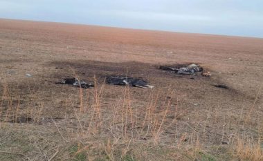 Moldavia shkatërron eksplozivin e gjetur në dronin Shahed që u rrëzua në territorin e saj