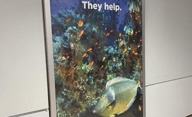 Posteri në stacionin hekurudhor që hutoi pasagjerët në Syndey, australianët po përpiqen të kuptojnë domethënien
