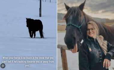 Iluzioni optik që është bërë viral, nuk dihet nëse kali është duke ecur drejt personit që po e filmon apo po largohet