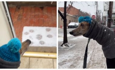 Pronari i qenit zbuloi arsyen mallëngjyese pse kafsha e tyre ka frikë nga bora