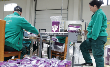 Fabrika për prodhimin e letrës, e vetmja në Kosovë që punëson veç persona me nevoja të veçanta