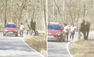 Elefanti u zemërua, njerëzit ia mbathën në panik: Shikoni sa afër ishte të shkelte një person