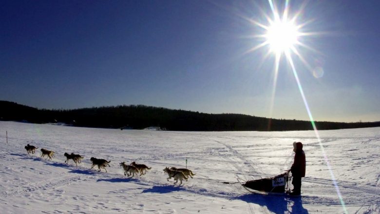 Mungesa e borës bën që të anulohet një nga garat e famshme të qenve me sajë në Shtetet e Bashkuara
