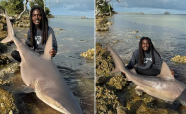 Burri nga Florida kap peshkaqenin pa u frikësuar fare