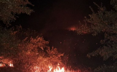 Shpërthen zjarr në një fshat në rrethinën e Shkupit