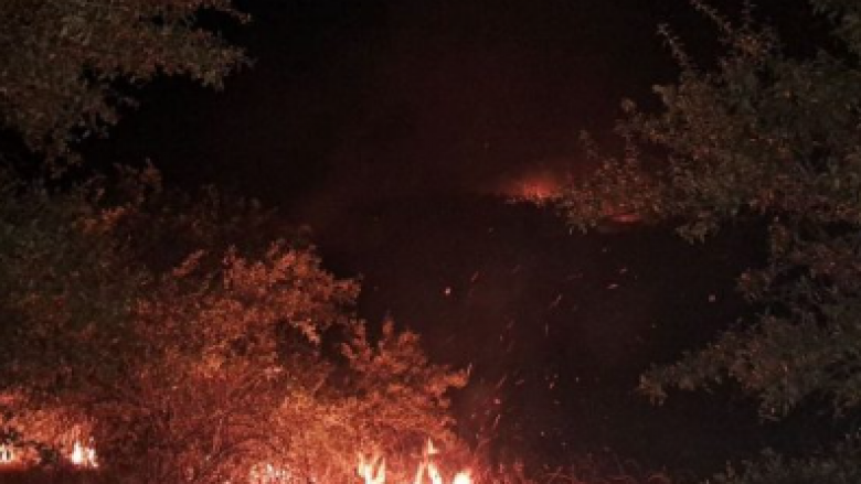QMK: Zjarret në Shkup dhe Manastir, digjen deponitë e egra