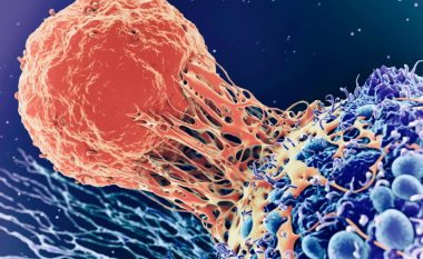 Paralajmërimi i frikshëm i OBSH – një raport i ri për rastet e kancerit tregon gjendjen që pritet të jetë deri në vitin 2045