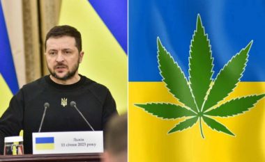 Zelensky legalizoi marihuanën, ajo do të përdoret vetëm për një arsye në Ukrainë
