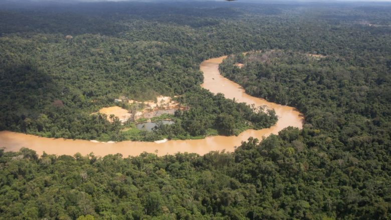 Pyjet tropikale të Amazonës mund të arrijnë ‘në një pikë kthese’ deri në vitin 2050, paralajmërojnë shkencëtarët