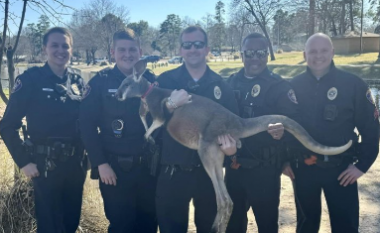 Policia u befasua nga kanguri në parkun e Teksasit