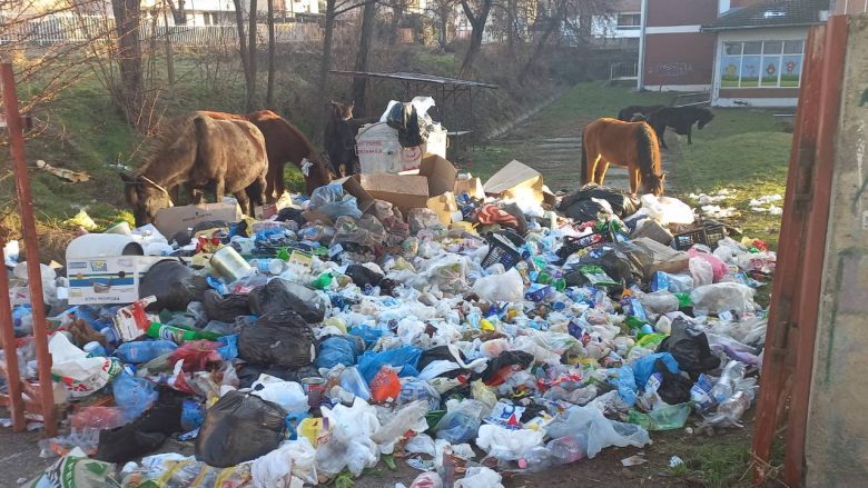 Ndotja e ajrit dhe kriza e mbeturinave, Tetova përballë sfidave të mëdha