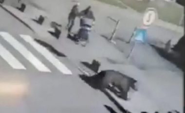 Vritet ariu që lëndoi pesë persona në Sllovaki